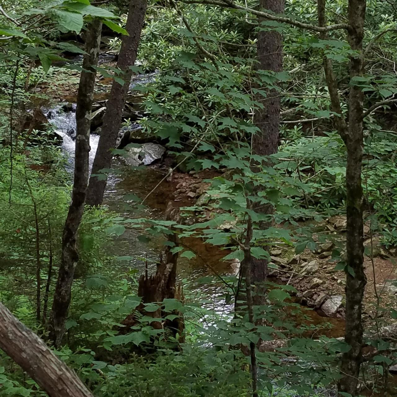  a.	Long ago in the place we now call Highland Park, most rainfall sank directly into the ground where it fell. b.	It supported an abundance of life within the soil and above it. c.	It moved slowly underground and  emerged gently, either feeding streams or pooling in low-lying wetlands