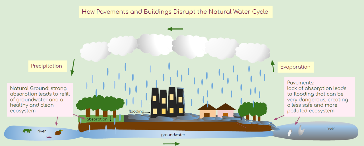 Stormwater Cycle Graphic